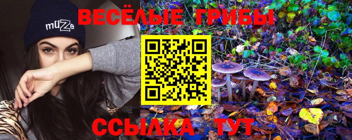 Галлюциногенные грибы мухоморы Миасс