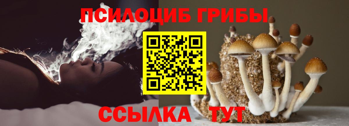 Псилоцибиновые грибы Psilocybe  Вход с VPN  цены   Миасс 